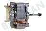 Junker Horno-Microondas 12012871 Motor De fan