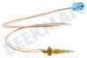 Neff Placa Cable termo 550 mm