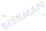 Neff Placa Cable termo 550 mm