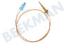 Neff Placa Cable termo 550 mm