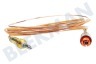 Constructa Placa 12012623 Cable termo 850 mm