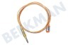 Constructa Placa 12012623 Cable termo 850 mm