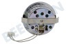 Bosch Campana extractora 175069, 00175069 Lámpara Spot 20 Watt, Halógeno completo