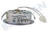 Bosch Campana extractora 175069, 00175069 Lámpara Spot 20 Watt, Halógeno completo