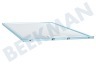 Atag Campana extractora Filtro Metalico 352x243x8mm