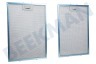 Atag Campana extractora Filtro Metalico 352x243x8mm