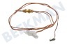 Pelgrim Cocina Cable termo Doble, 400 mm