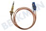 Pelgrim Cocina Cable termo Longitud 500 mm