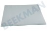 Beko Horno-Microondas 290440431 Tabla de estante Vidrio de la puerta Medio