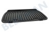 Rowenta TS-01039391 placa de parrilla