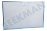 Whirlpool Campana extractora C00302744 Filtro de grasa