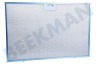 Whirlpool Campana extractora C00302744 Filtro de grasa
