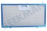 Ariston Campana extractora Filtro Filtro metálico