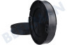 Ariston Campana extractora Filtro Filtro de carbón