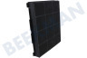 Ignis Campana extractora Filtro Carbono 225x210x30mm