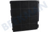 Ignis Campana extractora Filtro Carbono 225x210x30mm