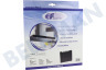 Ignis Campana extractora Filtro Carbono 225x210x30mm