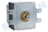 Whirlpool Horno-Microondas Microondas Unidad de explosión 2M167B-M16