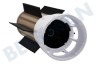 Philips Cepillo rizador 30mm