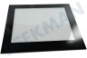 Whirlpool Horno-Microondas 480121101609 Tabla de estante Puerta de vidrio interior
