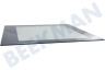Whirlpool Horno-Microondas 480121101609 Tabla de estante Puerta de vidrio interior