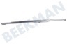 Bauknecht Horno-Microondas Conductor Guía de carril L/R, inferior