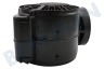 Bauknecht Campana extractora Motor De campana extractora