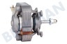 Bauknecht Horno-Microondas C00859616 Motor del ventilador