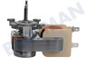 Bauknecht Horno-Microondas Motor del ventilador