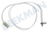 Samsung Horno-Microondas DE32-10013A Sensor Sensor NTC, 575 mm