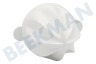 Kenwood Cono exprimidor Del procesador de alimentos blanco