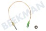 Dometic Placa Cable termo Longitud 250 mm