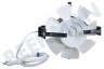 Venta Motor Completo Blanco