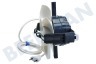 Venta Motor Completo Blanco