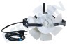 Venta Motor Completo Antracita