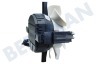 Venta Motor Completo Antracita