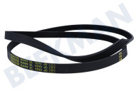 Correa adecuado para entre otros CTD146684, HFT6012D30S, LBCTD125 5EPJ 1215