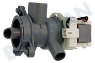 Hotpoint C00865252 Bomba adecuado para entre otros WPM07WADSIT, CMX12140  Bomba de drenaje adecuado para entre otros WPM07WADSIT, CMX12140