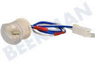 Samsung DC4700027F DC47-00027F  Lámpara adecuado para entre otros WW81H7400EW/EN, WW90H7600EW/EN, WW91H7400EW/EN CONDUJO adecuado para entre otros WW81H7400EW/EN, WW90H7600EW/EN, WW91H7400EW/EN