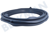 Hisense HK2227499  Guarnición portilla adecuado para entre otros WF3V7012LE, WFLE7014 Junta de la puerta adecuado para entre otros WF3V7012LE, WFLE7014