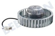 Novamatic 1125422004 Secadora Motor del ventilador adecuado para entre otros T59800, LTH59800