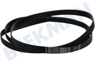 Hoover 40012518 Secadora Correa adecuado para entre otros ROH9A3TES, DXH9A3TCEXS 1992 PH11 adecuado para entre otros ROH9A3TES, DXH9A3TCEXS