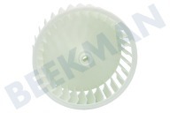 Beko 2977500200 Secadora Rodillo de ventilador adecuado para entre otros DE8434RX0, DH7533RXW, TKF8451AGC Aspa del ventilador adecuado para entre otros DE8434RX0, DH7533RXW, TKF8451AGC