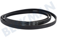 5063311 Lavadora Correa poly-V adecuado para entre otros T243, T242, T233C, T4163 Hutchinson 1900 J5 adecuado para entre otros T243, T242, T233C, T4163