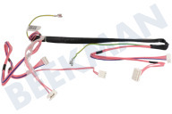 Indesit C00631564 Lavavajillas mazo de cables adecuado para entre otros DIF14B1AEU, ELTB4B019EU