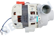 Bomba adecuado para entre otros ZDU112X, VA6111LT Bomba de circulación Nidec
