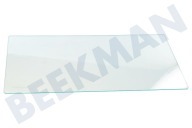 Selecline 2062321068  Bandeja de vidrio para nevera adecuado para entre otros RJ2300AOW2, S72300DSW1