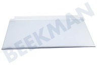 Ikea Refrigerador 4055588182 Placa de vidrio completa adecuado para entre otros HAFTIGT20282367, HAFTIGT40282366