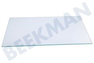 Faure Refrigerador 2649011042 Plato de vidrio adecuado para entre otros SCS61400S2, ISANDE
