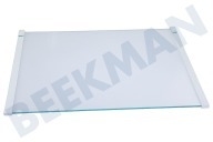 Pelgrim Refrigerador 2251538035 Placa de vidrio completa adecuado para entre otros AGN71000S0, FRYSA